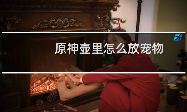 原神壶里怎么放宠物