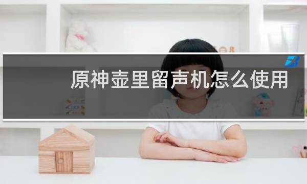 原神壶里留声机怎么使用