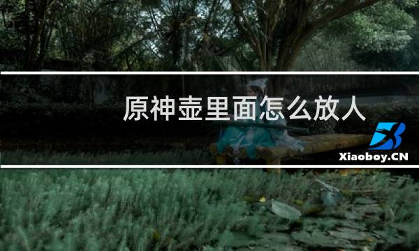 原神壶里面怎么放人