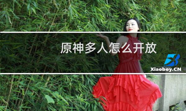 原神多人怎么开放