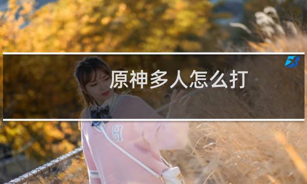 原神多人怎么打