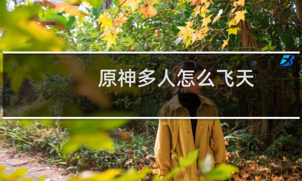 原神多人怎么飞天
