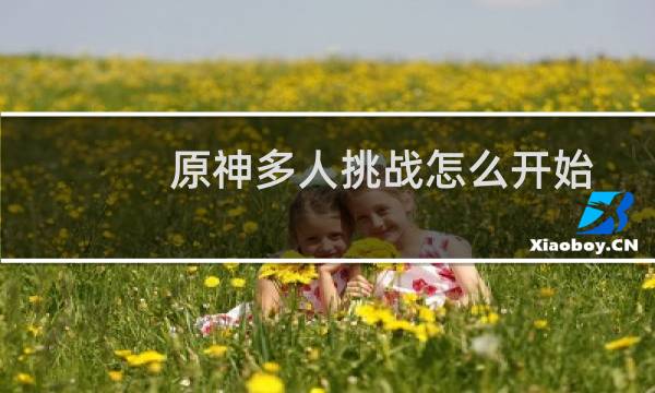 原神多人挑战怎么开始