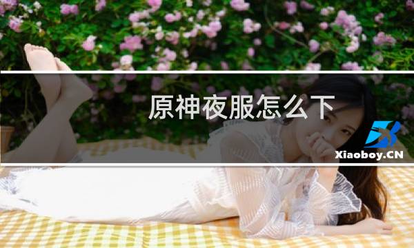 原神夜服怎么下