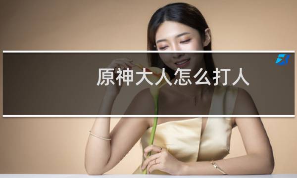 原神大人怎么打人