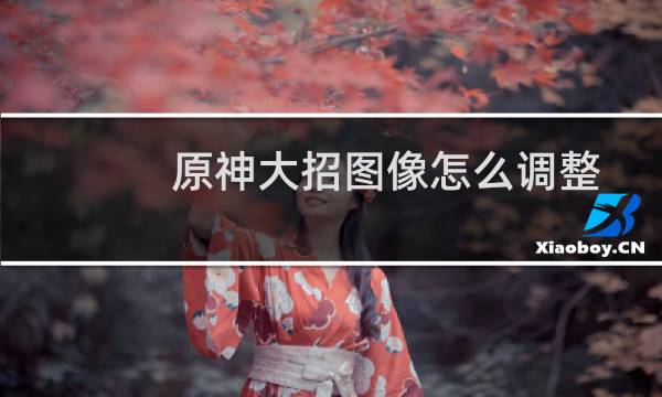 原神大招图像怎么调整