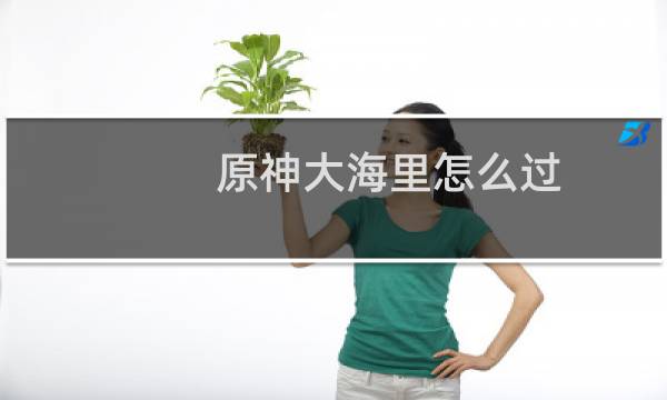 原神大海里怎么过