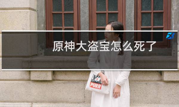 原神大盗宝怎么死了