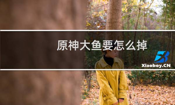 原神大鱼要怎么掉