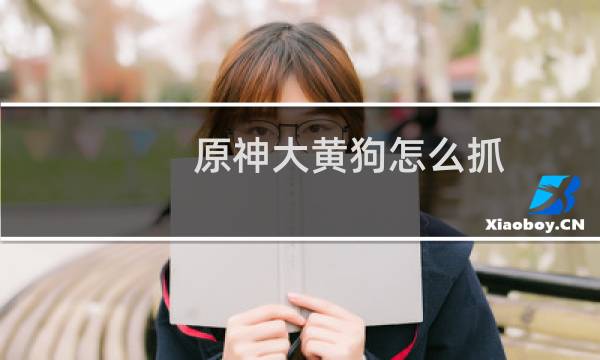 原神大黄狗怎么抓