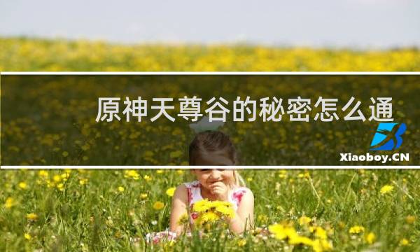 原神天尊谷的秘密怎么通