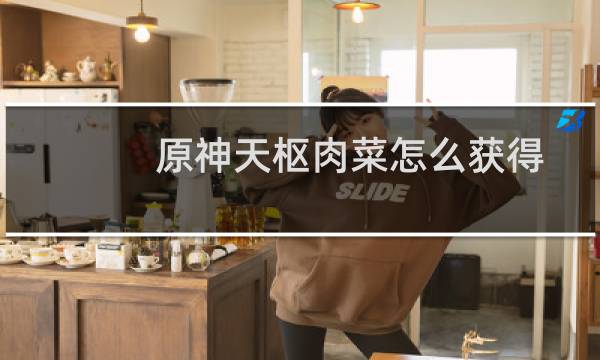 原神天枢肉菜怎么获得