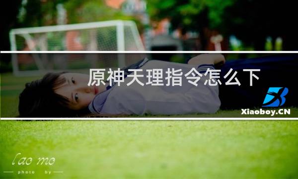 原神天理指令怎么下