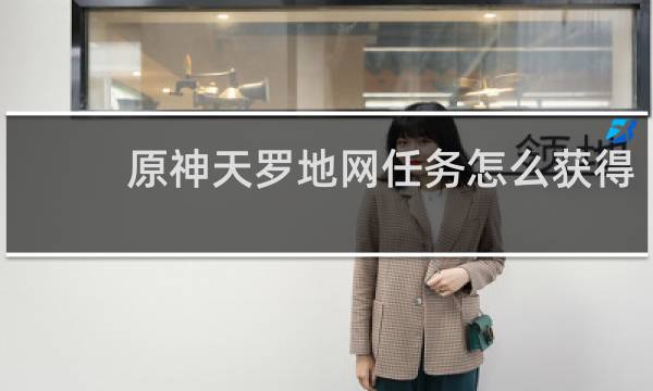 原神天罗地网任务怎么获得