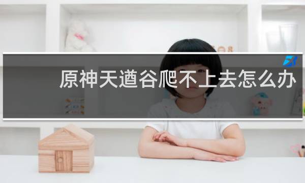 原神天遒谷爬不上去怎么办