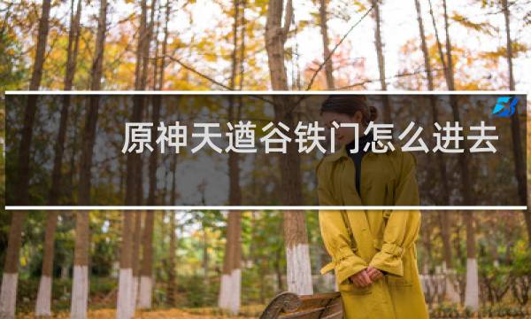 原神天遒谷铁门怎么进去
