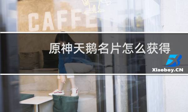 原神天鹅名片怎么获得
