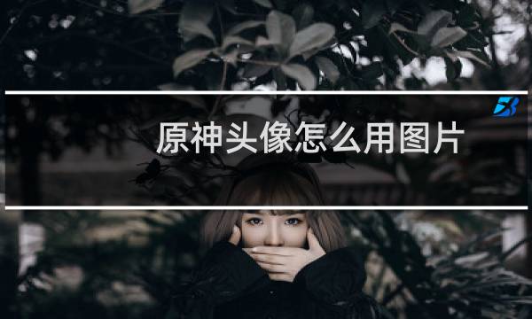 原神头像怎么用图片