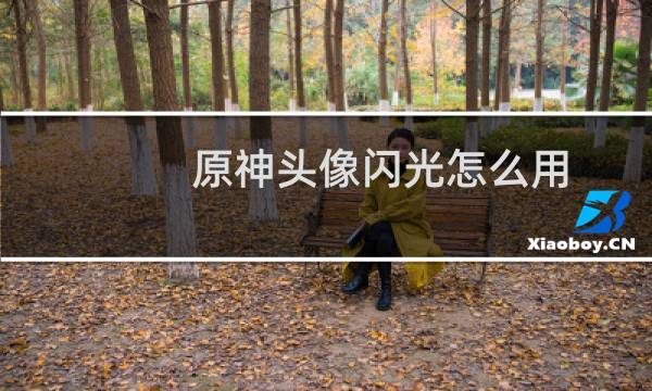 原神头像闪光怎么用