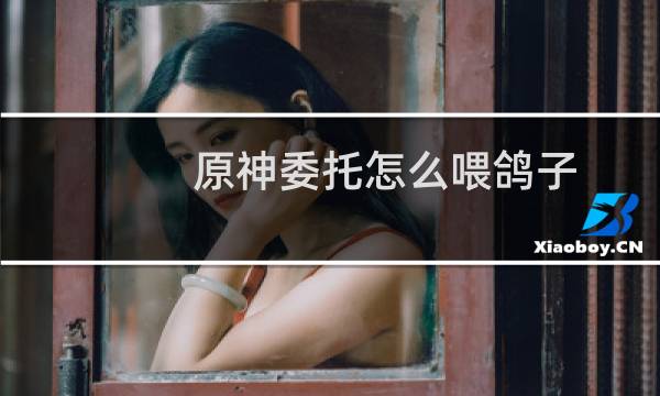 原神委托怎么喂鸽子