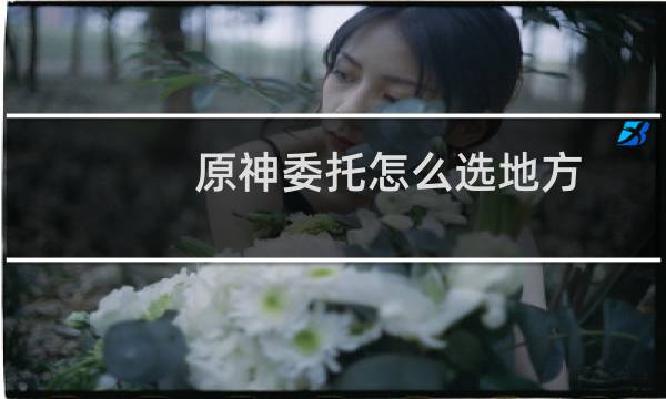 原神委托怎么选地方