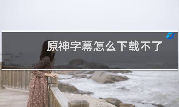 原神字幕怎么下载不了