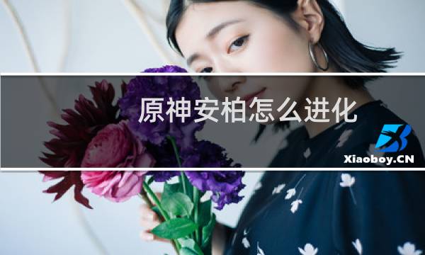 原神安柏怎么进化