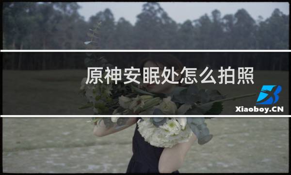 原神安眠处怎么拍照