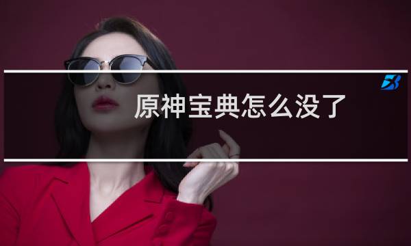 原神宝典怎么没了