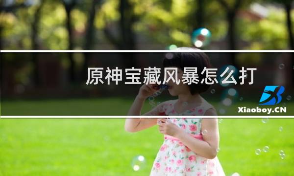 原神宝藏风暴怎么打