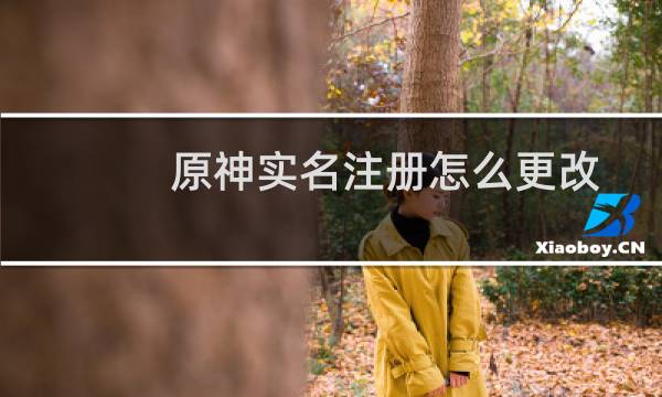 原神实名注册怎么更改