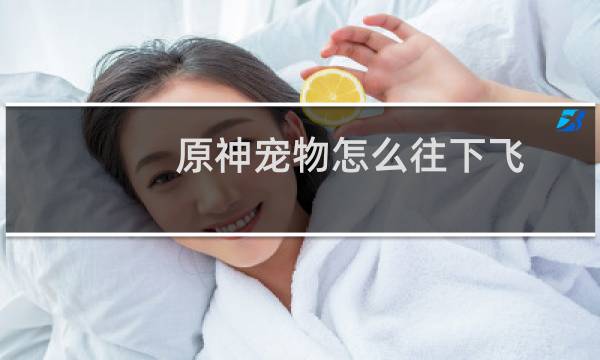 原神宠物怎么往下飞