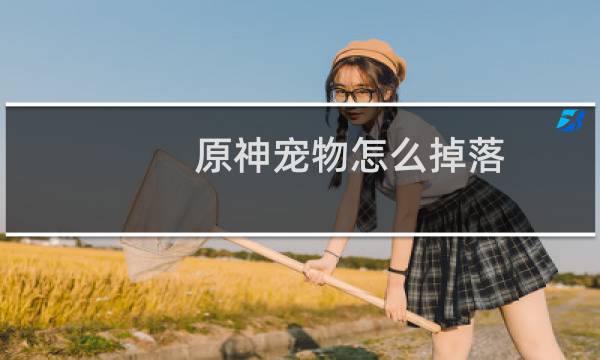 原神宠物怎么掉落