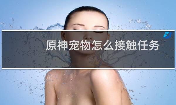 原神宠物怎么接触任务