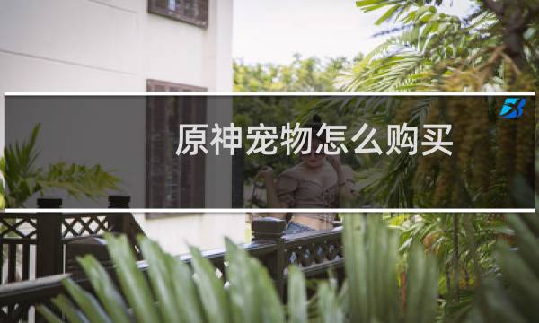 原神宠物怎么购买