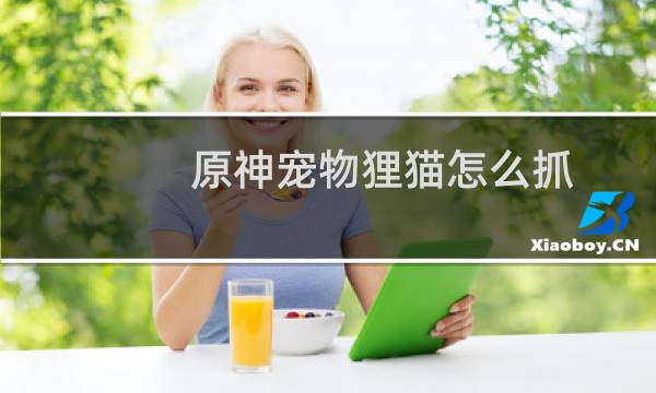 原神宠物狸猫怎么抓