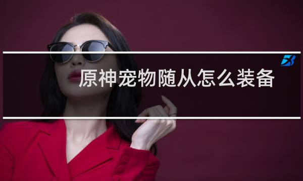 原神宠物随从怎么装备