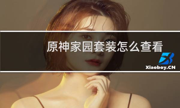 原神家园套装怎么查看