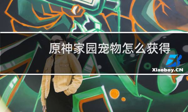 原神家园宠物怎么获得