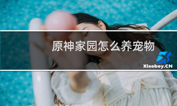 原神家园怎么养宠物