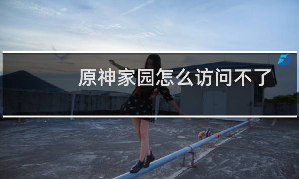 原神家园怎么访问不了