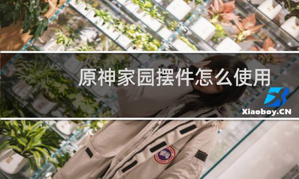 原神家园摆件怎么使用