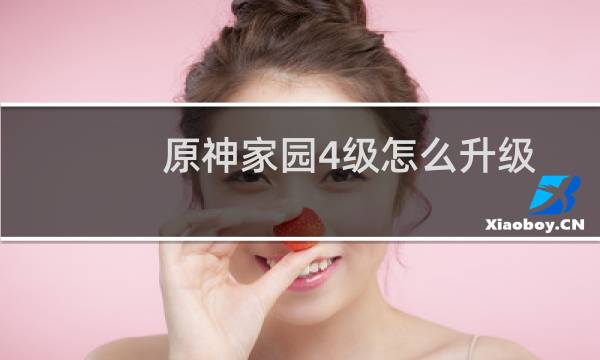 原神家园4级怎么升级