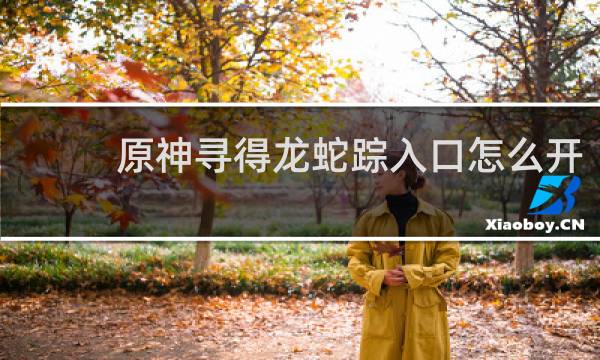 原神寻得龙蛇踪入口怎么开