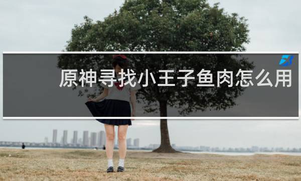 原神寻找小王子鱼肉怎么用