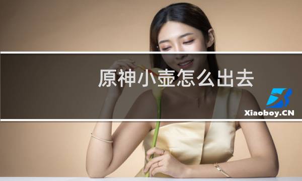 原神小壶怎么出去