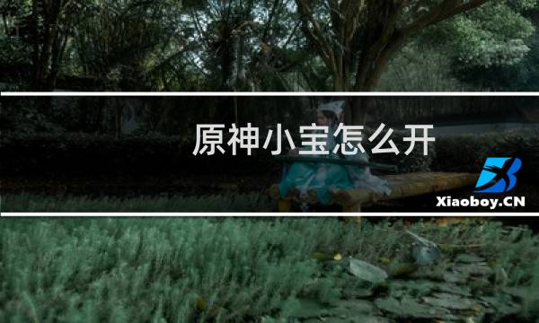 原神小宝怎么开