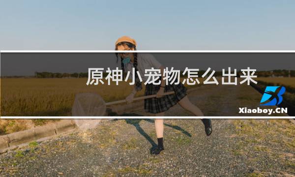 原神小宠物怎么出来