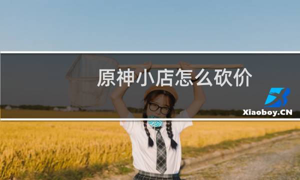 原神小店怎么砍价