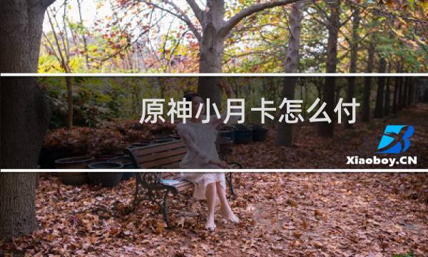 原神小月卡怎么付